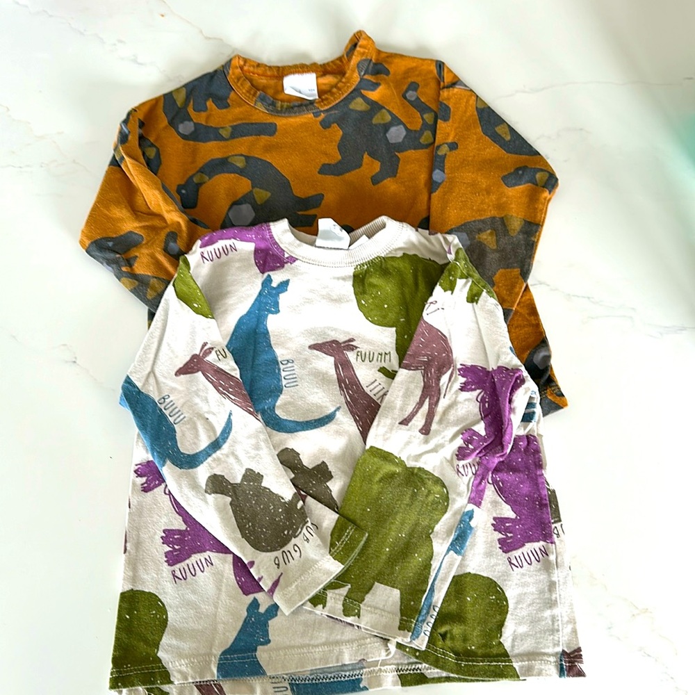 Toddler ZARA long sleeve shirts 3-4 years old